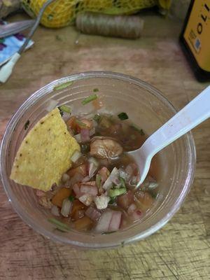 Shrimp ceviche - very good!