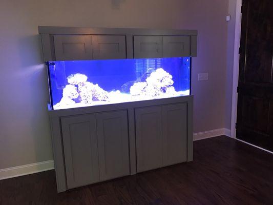 180 Reef Tank designed and setup by Pure Reef!!!!