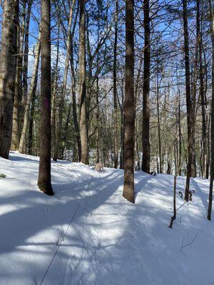 Paths were easy to follow in the snow