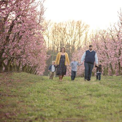 Spring family portraits