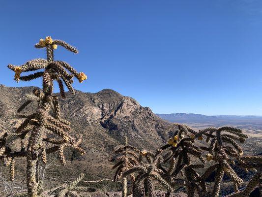 View from Yaqui Trail