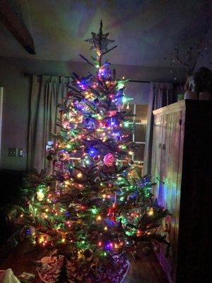 2018 tree