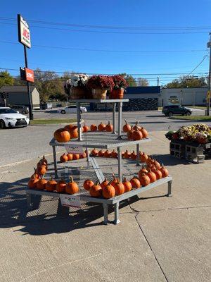 Pumpkins outside