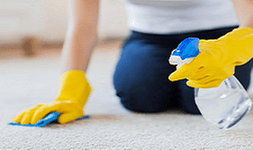 Hen's Dry Carpet And Upholstery Cleaning