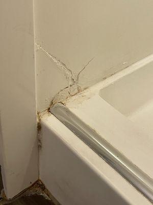 Nasty and worn bathroom walls