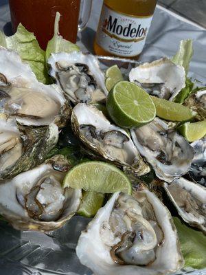 Our fresh and delicious Mexican Oysters (sanctuary)