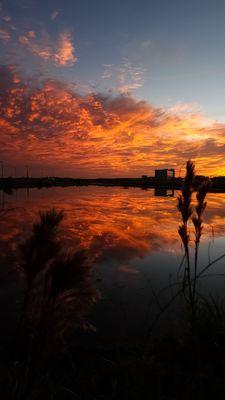 Orlando sunset