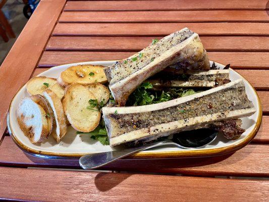 Bone marrow