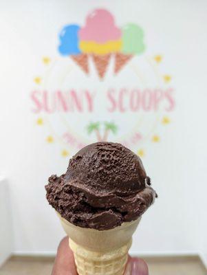 Sunny Scoops Ice Cream