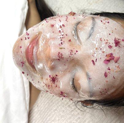 Organic Algae + Rose Hydro Jelly Mask