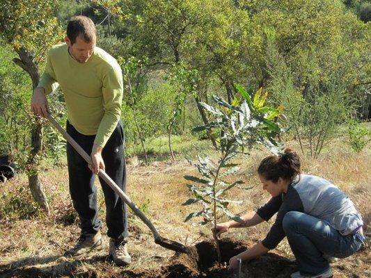 Earth Day planting.