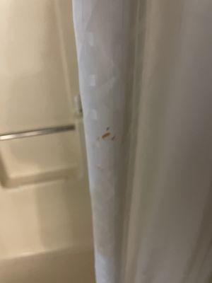 Stained shower curtain