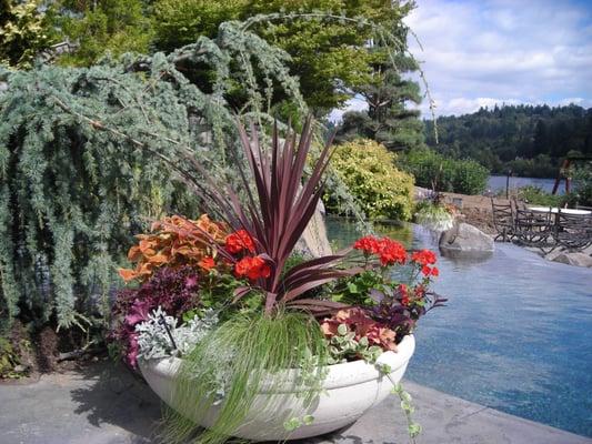 Decorative Plant Containers that add highlights to your yard