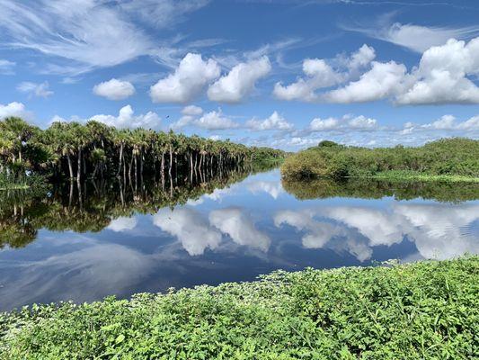 Reflecting at the Stick Marsh