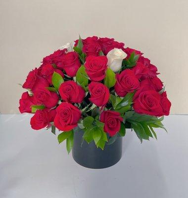 50 roses