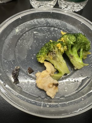 Disgusting rotten broccoli, funky chicken and mysterious things I found in my chicken and broccoli with white sauce.