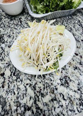 Bean Sprouts