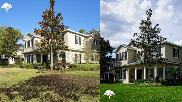 Before and After Tampa Home Landscaping