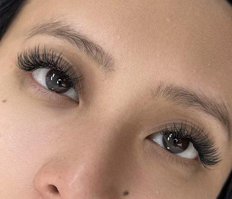 Hybrid 2D natural lash