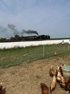 Strasburg railroad in the background