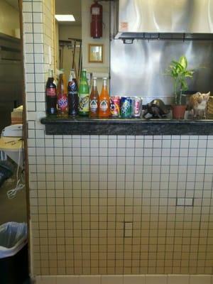 Soda selection