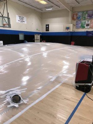 We were able to save 95% of this gym floor at the Boy's & Girls Club In Solana Beach Beach by tenting and heating the floor.