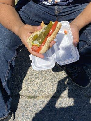 Signature Chicago dog