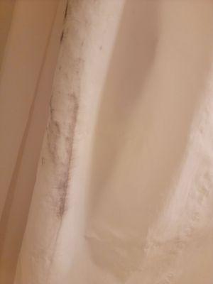 Mold on my shower curtain. Shame on the housekeepers, maybe get a new profession?