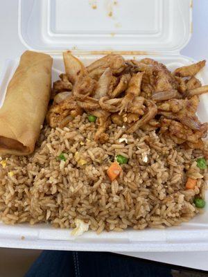 Spicy chicken with fried rice and spring roll