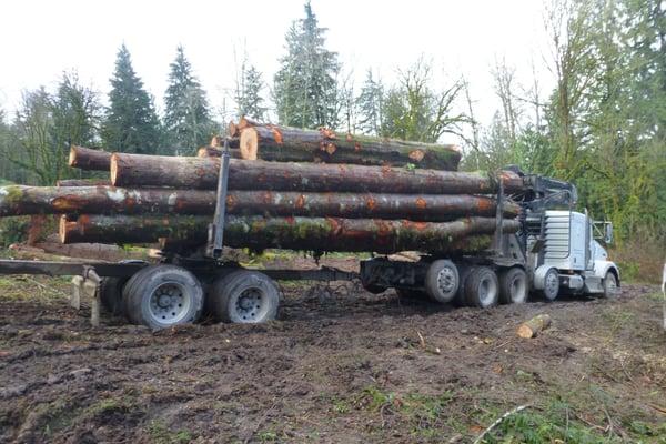 Self Loading Log truck loaded and ready to go