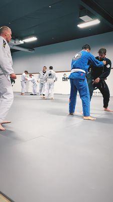 Fundamentals gi class