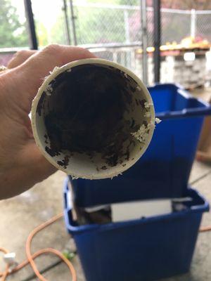 Piece of vac pvc pipe from the attic