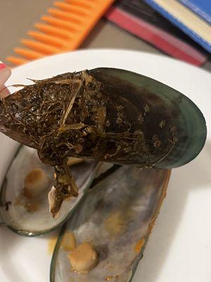 Seafood Soup, green mussels in the soup!