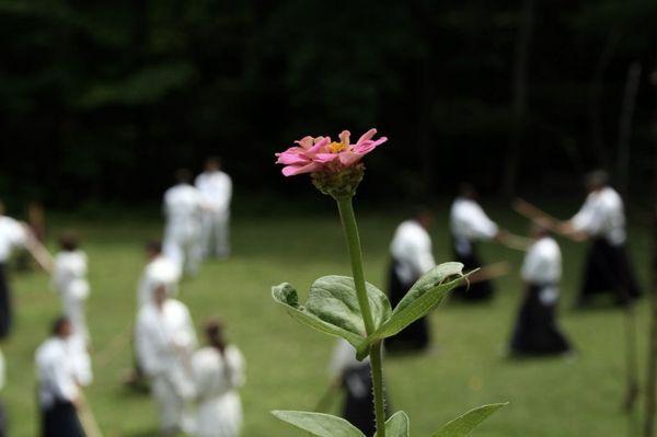 Long Island Aikikai