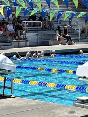 Summer League Swim Meet