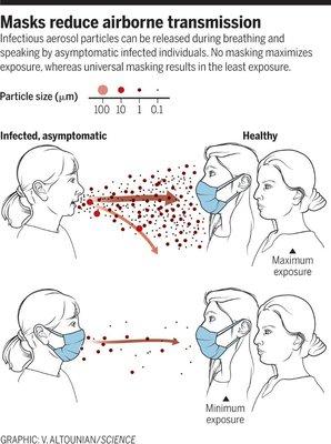 More detail on why masks are important