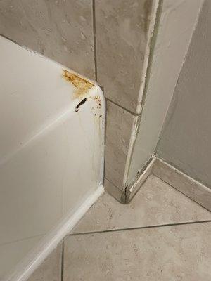 Dripping rust stain? Missing grout.