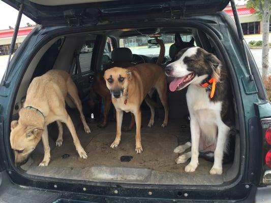 Socialization - The gang going out on the town.