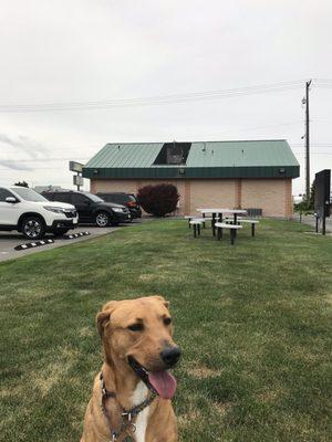 Outdoor seating and a good place to let your pet relax.