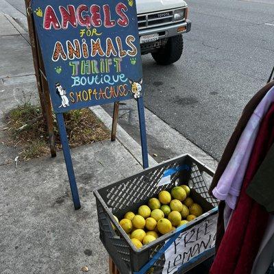 Angels for Animals Thrift