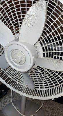 Dirty fan which I cleaned front and blades but not the back