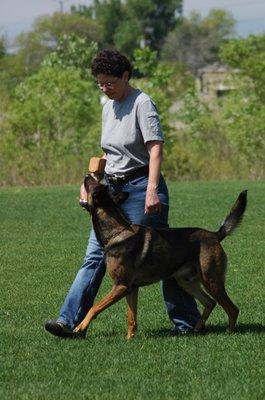 Spit demonstrating focused heeling.