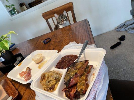 My combo plate and the Cat pressing me for ribs.