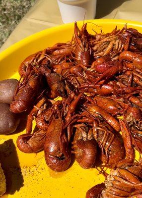 Boiled Crawfish