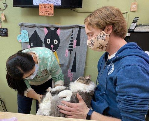 They are carefully cleaning Emma's hair and trimming her nails.