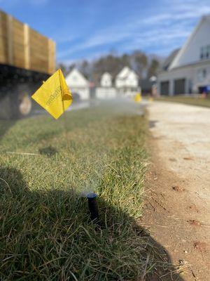 Irrigation in and working on a new sod install