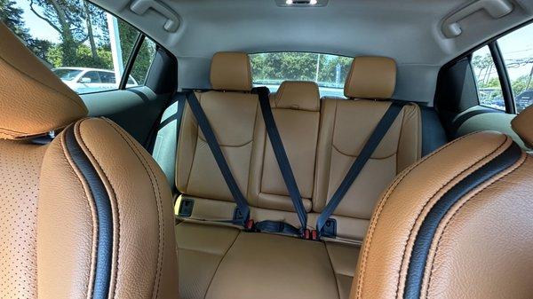 Rear Seats.