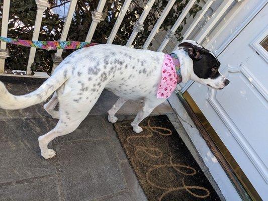 Liking her bandana