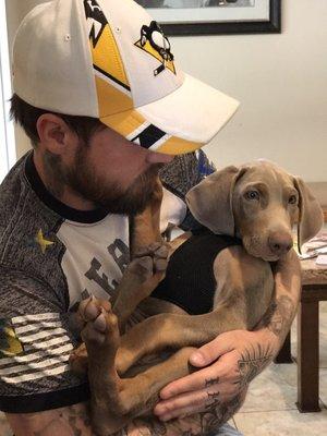 We love the Animal Hospital of Pasco! Our sweet boy enjoys his vet visits because the staff is loving, attentive, and the very best!