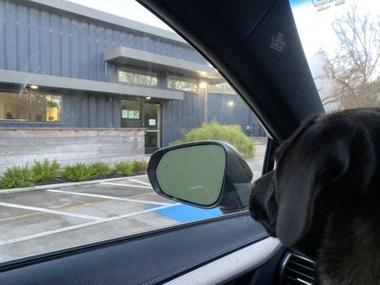 Bennett eagerly awaiting to go to school!